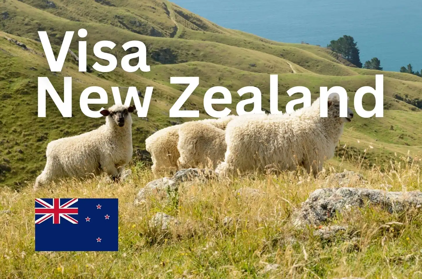 Visa New Zealand  วีซ่านิวซีแลนด์