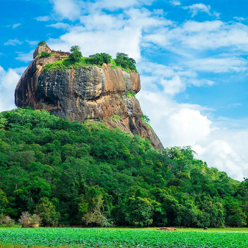 ทัวร์ศรีลังกา